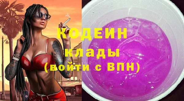 apvp Арсеньев