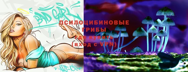 гашик Лабытнанги