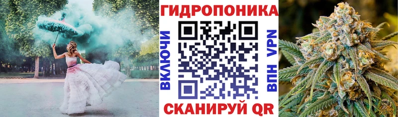цены   Гай  Марихуана сатива 